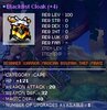 bfc 20.jpg