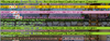 WS 1.PNG