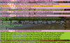 WS 2.PNG