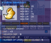 Yellow Windshoes.png