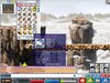 Maple0000.jpg