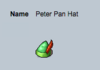 Peter pan hat.png