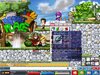 Maple0000.jpg