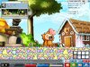 Maple0000.jpg