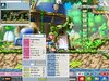 Maple0005.jpg