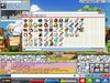 Maple0000.jpg
