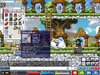 Maple0017.jpg