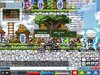 Maple0013.jpg