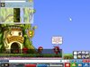 Maple0000.jpg