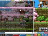 Maple0069.jpg