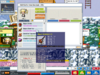 Screenshot (1).png