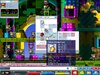 Maple0026.jpg