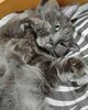 IMG_20180708_131706_971.jpg