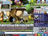 Maple0004.jpg