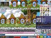 Maple0017.jpg