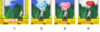 5.png