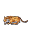 Tora (1).png