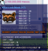 11INT Raccoon Mask.png