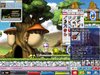 Maple0000.jpg