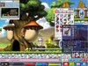 Maple0001.jpg