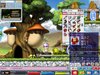 Maple0003.jpg
