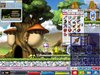 Maple0004.jpg