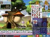 Maple0006.jpg