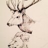 StagLion