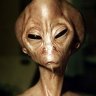 xeno