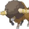 Buffalo