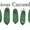 CuriousCucumber