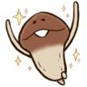 Funghi lover