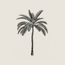 PalmTree