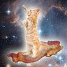 BaconCat