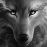 BlackWolf