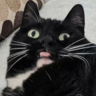 ItsMii