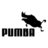 Pumba