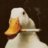 TheDuck