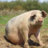 ItsMeBacon