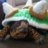 Iron Turtle