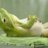 Relaxed